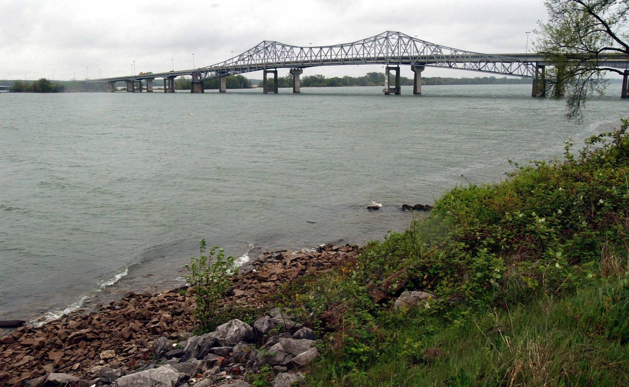 Pollution Control in Tennessee River Using Long-Term Solutions